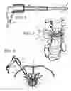 Fig. 03 - Method and apparatus to penetrate soft tissue and produce passageway in hard tissue while protecting principal vasculature and nerves