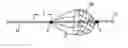Fig. 01 - Embolic filters with controlled pore size