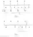 Fig. 02 - Detection of ventricular tachycardia in an active implantable medical device having an AAI operating mode