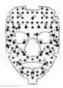 Fig. 01 - Apparatus for stimulating acupuncture points on a human face
