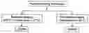 Fig. 01 - Methods and apparatus for thermally-induced renal neuromodulation