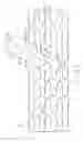 Fig. 03 - Connectors for bifurcated stent