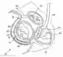 Fig. 01 - Mitral valve device using conditioned shape memory alloy