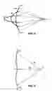 Fig. 04 - System and method for towing subsea vertical antenna