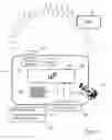 Fig. 05 - Vehicle event recorder systems