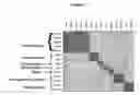 Fig. 08 - Methods for analysis of biological dataset profiles