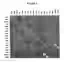 Fig. 09 - Methods for analysis of biological dataset profiles