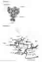 Fig. 06 - Crystal structure and uses thereof