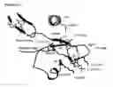 Fig. 04 - Crystal structure and uses thereof
