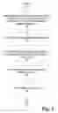 Fig. 03 - SYSTEM AND METHOD FOR PROVIDING LOCATION-BASED INFORMATION TO A MOBILE DEVICE