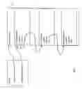 Fig. 09 - System and method for thread creation and memory management in an object-oriented programming environment