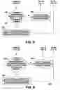 Fig. 05 - Memory access request arbitration