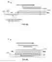 Fig. 08 - Method and system for testing backplanes utilizing a boundary scan protocol