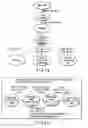 Fig. 12 - Decoding device for decoding codeword