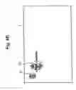 Fig. 06 - On-screen display for configuring a display apparatus using graphic icons