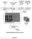 Fig. 11 - Method, system and apparatus for a parser for use in the processing of structured documents