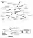 Fig. 04 - Modelling network to assess security properties