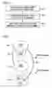 Fig. 06 - Method and system for a security model for a computing device