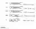 Fig. 03 - Cis/trans riboregulators