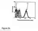 Fig. 04 - Cis/trans riboregulators