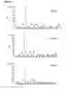 Fig. 04 - Process for the production of Δ5-unsaturated fatty acids in transgenic organisms