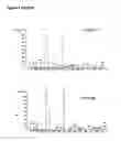 Fig. 05 - Process for the production of Δ5-unsaturated fatty acids in transgenic organisms