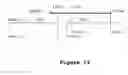Fig. 14 - Nucleic acids and methods for producing seeds with a full diploid complement of the maternal genome in the embryo