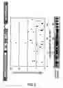 Fig. 03 - Method of accumulating allergen-specific t cell antigen determinant in plant and plant having the antigen determinant accumulated therein