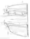 Fig. 07 - Portable bathing apparatus