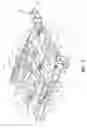 Fig. 04 - Patient support having an extendable foot section