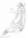 Fig. 02 - Swimming pool cleaning apparatus