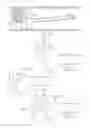 Fig. 09 - Swimming pool cleaning apparatus