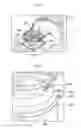 Fig. 07 - Apparatus and method for assembling vehicle wheel