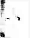 Fig. 09 - Decoy technology