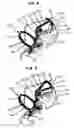 Fig. 06 - Door weather strip