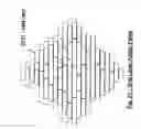 Fig. 22 - Wall covering with stone appearance