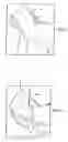 Fig. 02 - Saddles