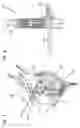 Fig. 07 - Article pickup apparatus
