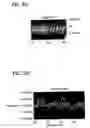Fig. 03 - Reduced striae low expansion glass and elements, and a method for making same