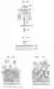 Fig. 02 - Optical device and method of manufacturing the optical same