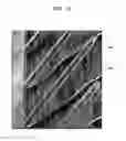Fig. 10 - Multi-scale cantilever structures having nano sized holes and method of preparing the same