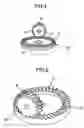 Fig. 04 - Gearing apparatus