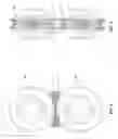 Fig. 04 - Apparatus and method for a terbo worm gear with teeth extending below the centerline of the worm