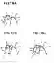 Fig. 15 - Gears and gearing apparatus