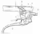 Fig. 01 - Control device for a bicycle derailleur