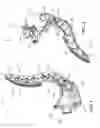 Fig. 02 - Accelerator pedal for a vehicle