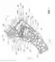Fig. 06 - Accelerator pedal for a vehicle