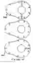 Fig. 20 - Rotary-to-linear actuator, with particular use in motorcycle control