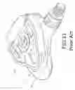 Fig. 14 - Pedal structure without front clamping members