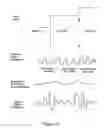 Fig. 10 - Expressive music synthesizer with control sequence look ahead capability